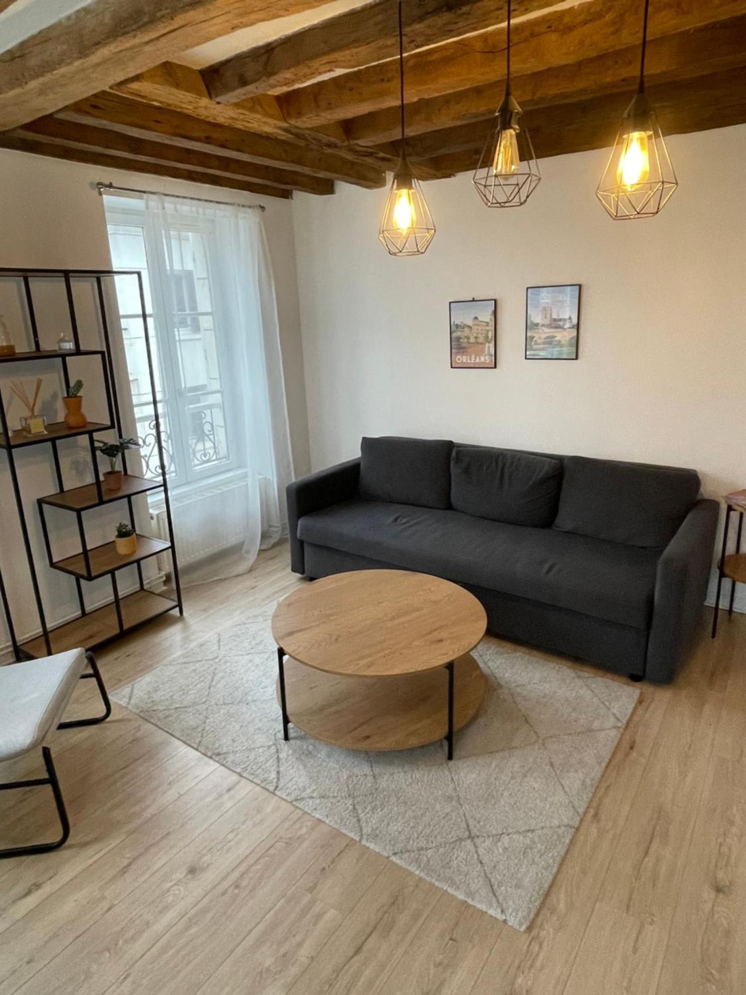 Charmant Appartement Orleans ! 외부 사진
